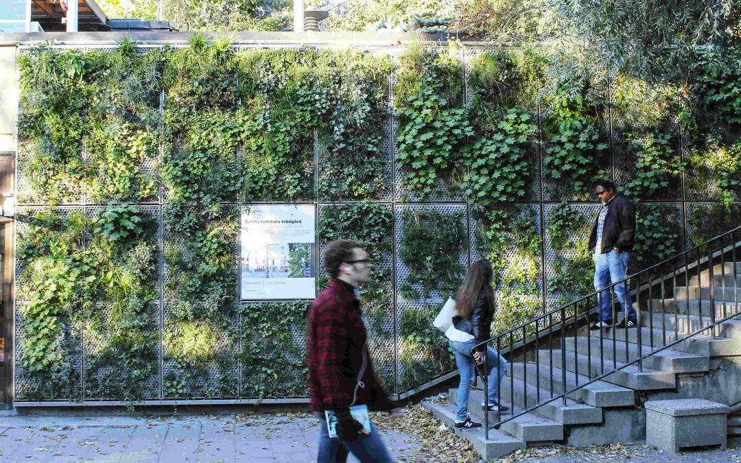 Björns Vertikala Trädgård