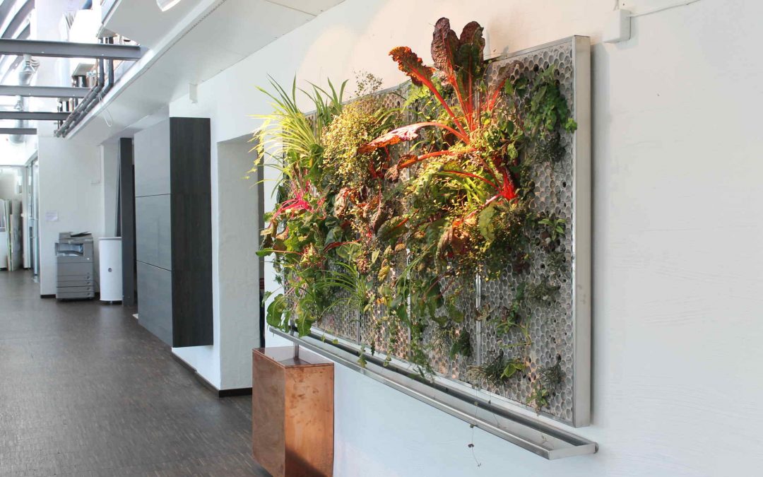 Vertical Garden McCann