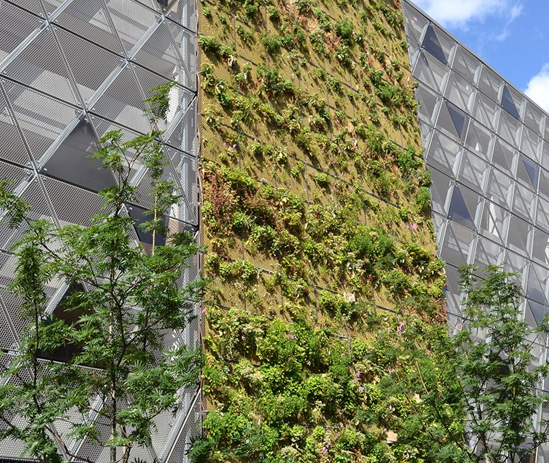 P-Hus Anna – Malmö