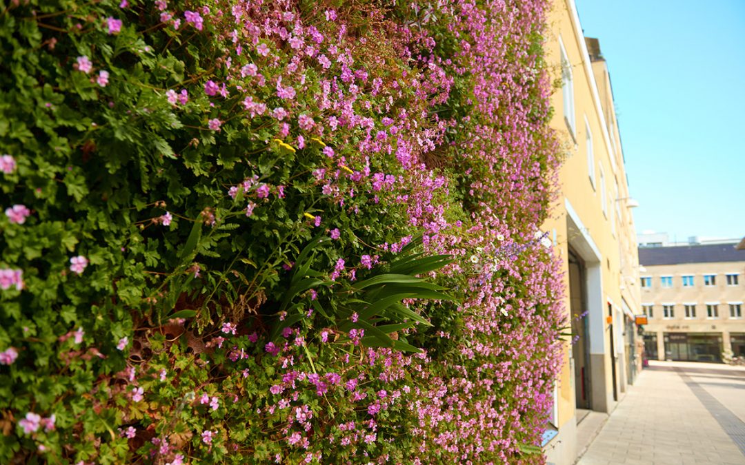 Påvel snickares gränd